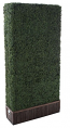 Hedge Walls 4x8 Hedge Walls 4x8
