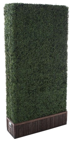 Hedge Walls 4x8 Hedge Walls 4x8