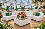Lounge Curved Sofa –  Package  